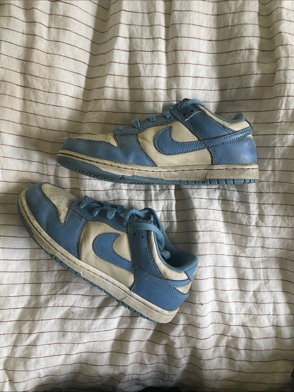 Nike Kids Dunk
